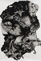 Peter Hock: Cluster II, 2018, Reißkohle auf Papier, 150 x 100 cm

